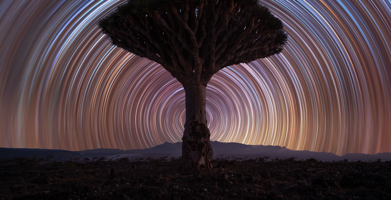 Star Trails Skies for your photographs(50)
