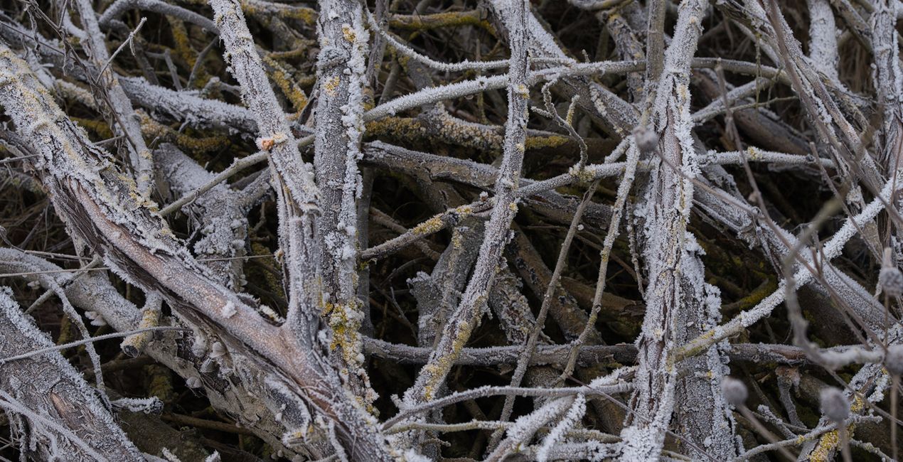 Nature’s Textures Presets for Luminar | Marketplace(39)