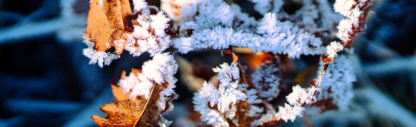 Nature’s Textures — slide 3