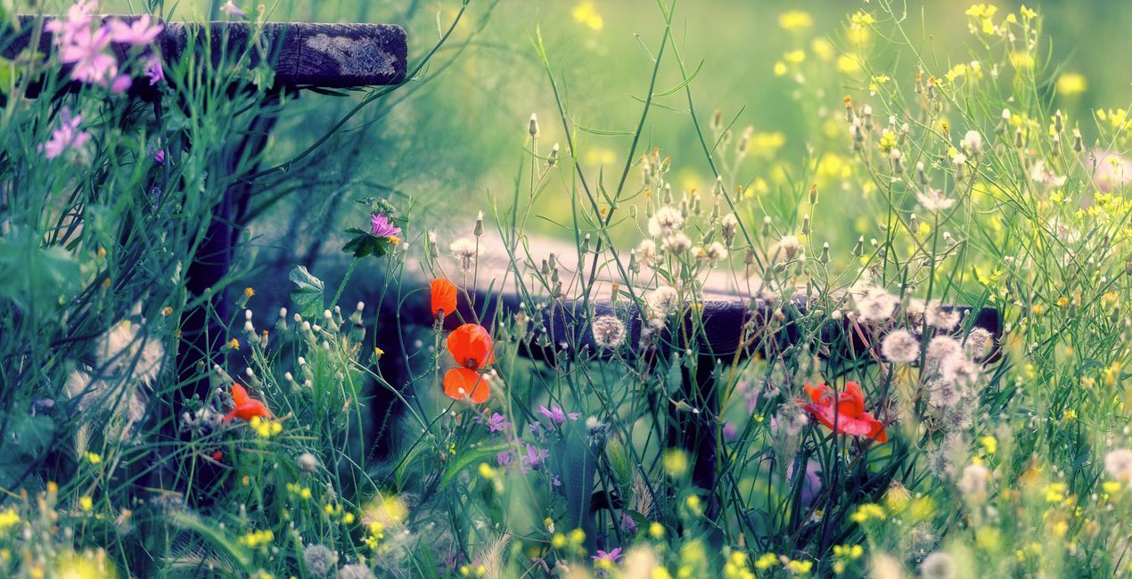 Spring Essence Presets for Luminar | Marketplace(54)