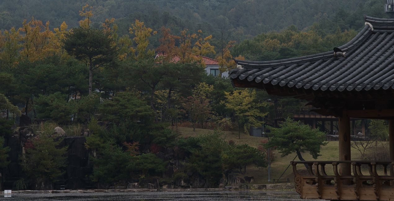 Ancient Korea Presets for Luminar | Marketplace(39)
