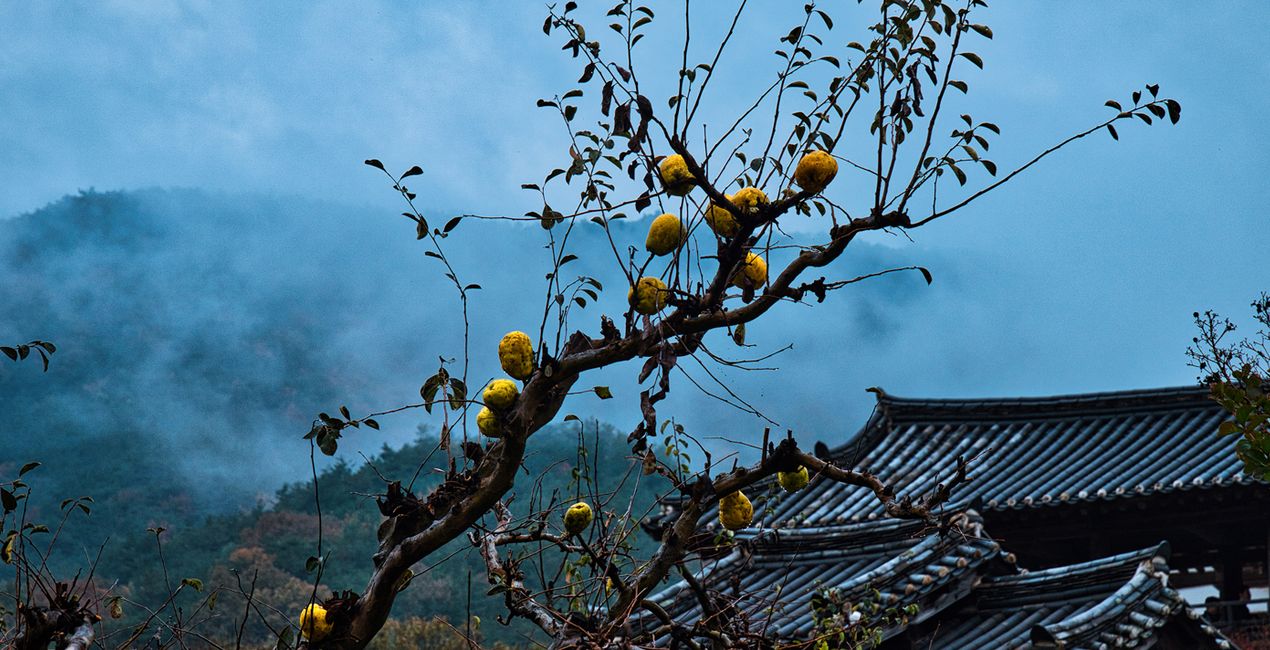 Ancient Korea Presets for Luminar | Marketplace(44)