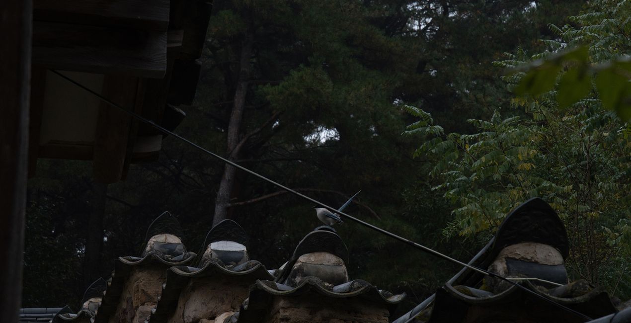 Ancient Korea Presets for Luminar | Marketplace(45)
