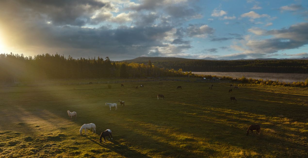 Magic Hour Skies for your photographs(48)
