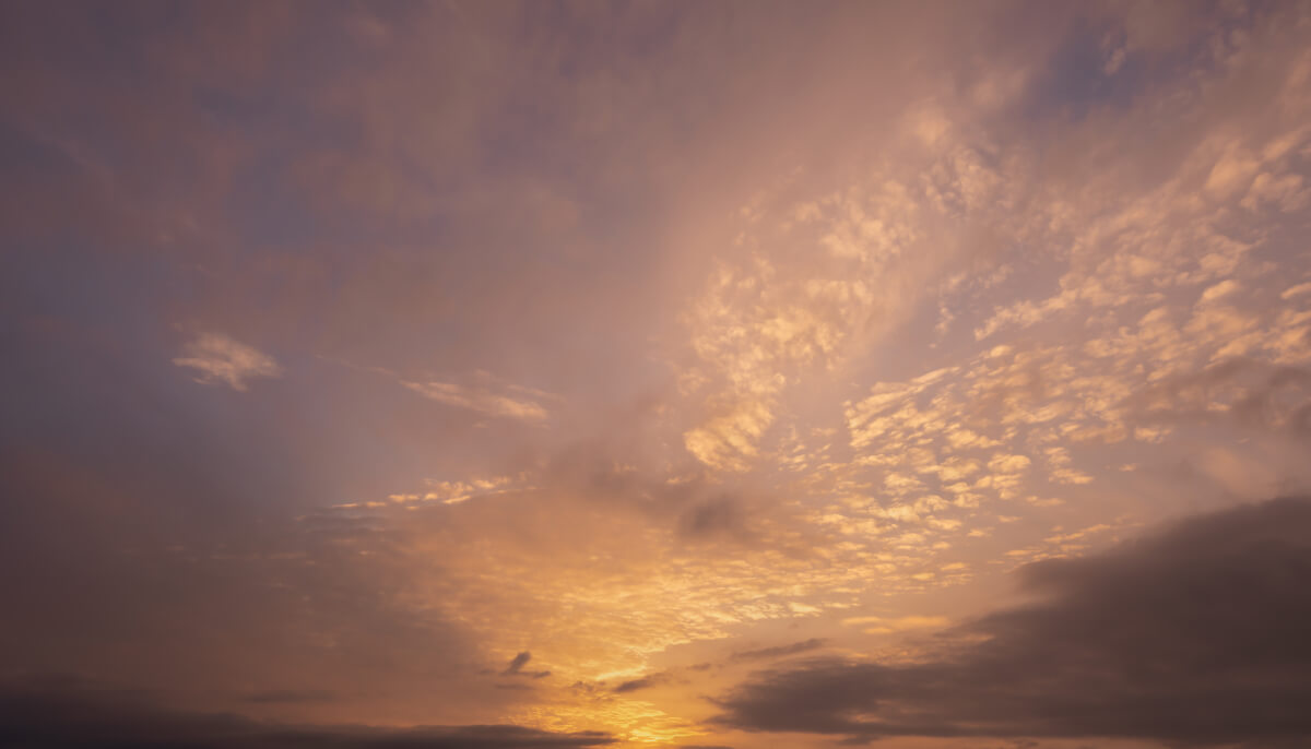 Colorful Sunlight | Luminar Marketplace(57)