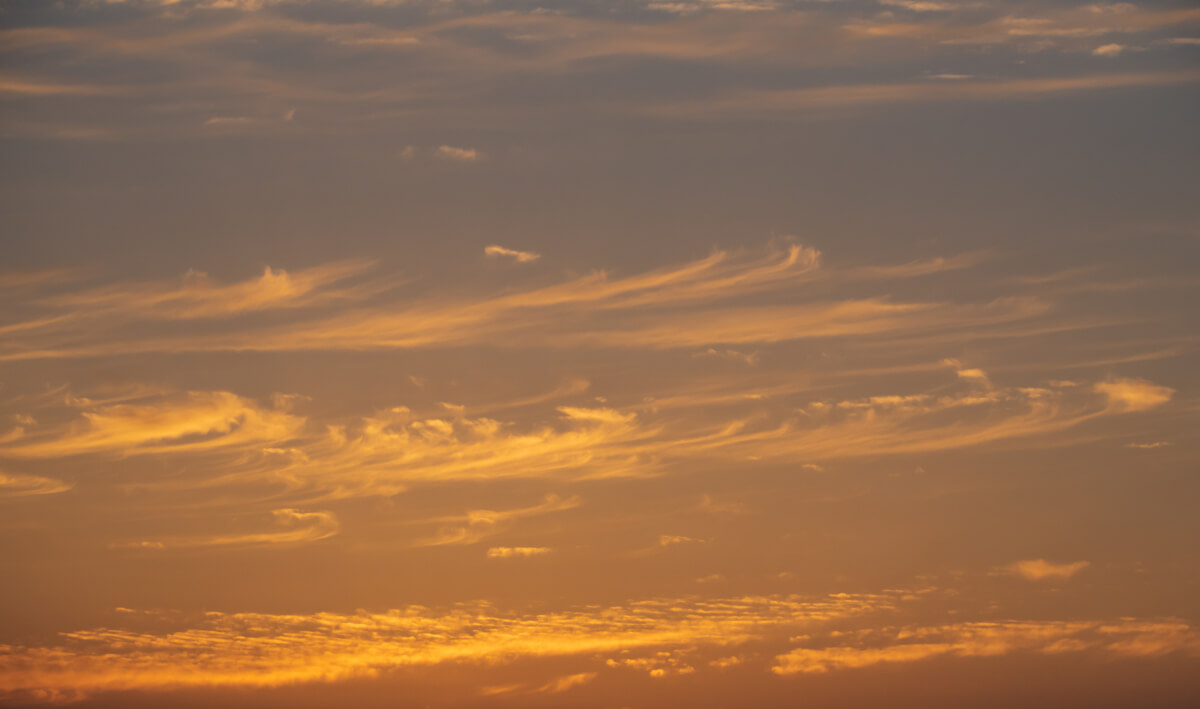 Colorful Sunlight | Luminar Marketplace(65)