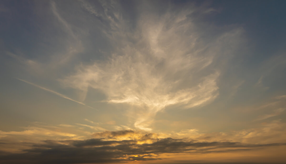 Colorful Sunlight | Luminar Marketplace(69)