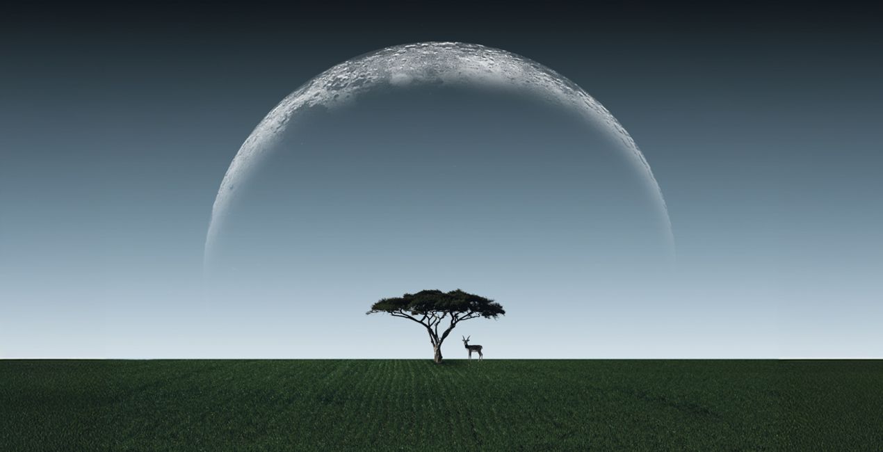 Moon Overlays for your photographs(41)