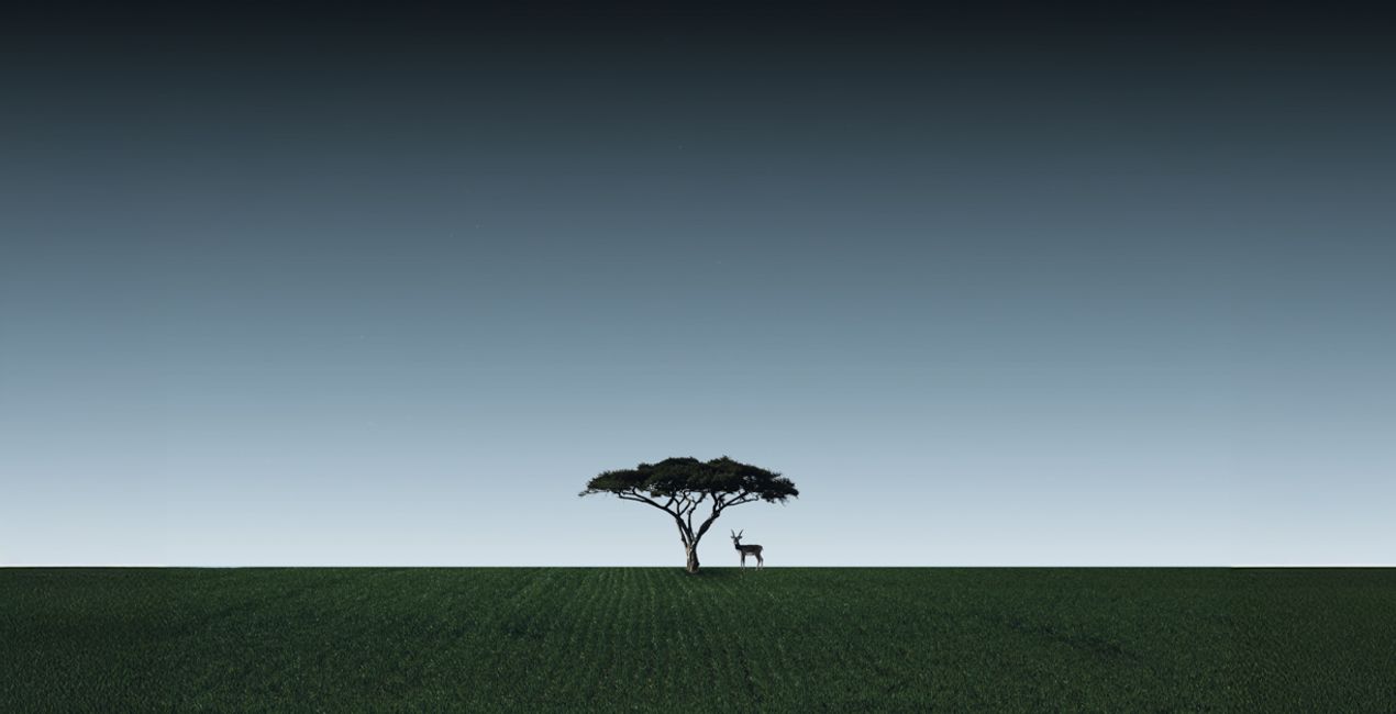 Moon Overlays for your photographs(40)