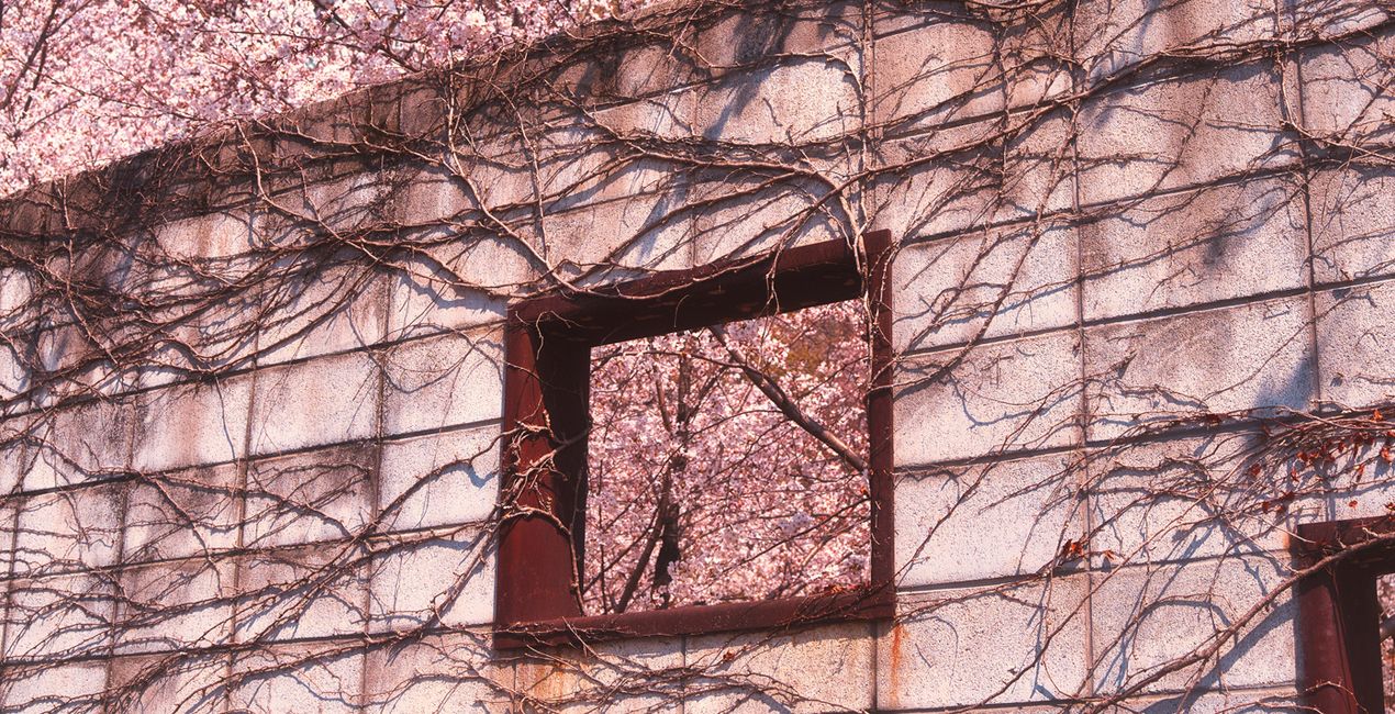 Soft Spring Presets for Luminar | Marketplace(42)