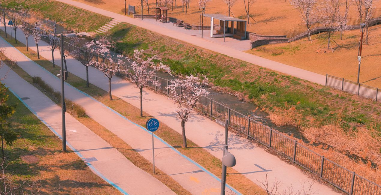 Soft Spring Presets for Luminar | Marketplace(40)