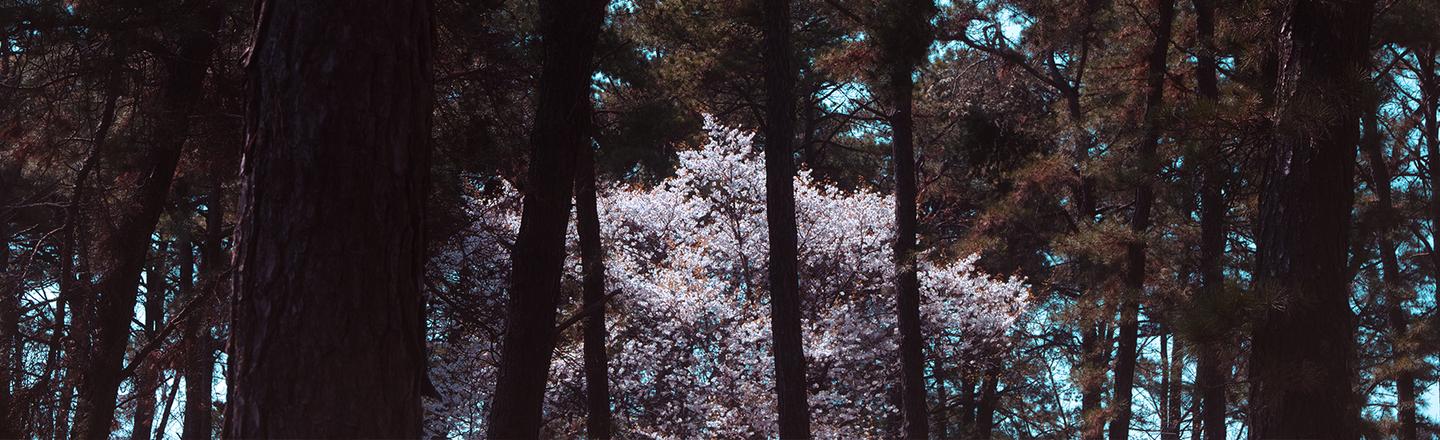 Soft Spring — slide 1
