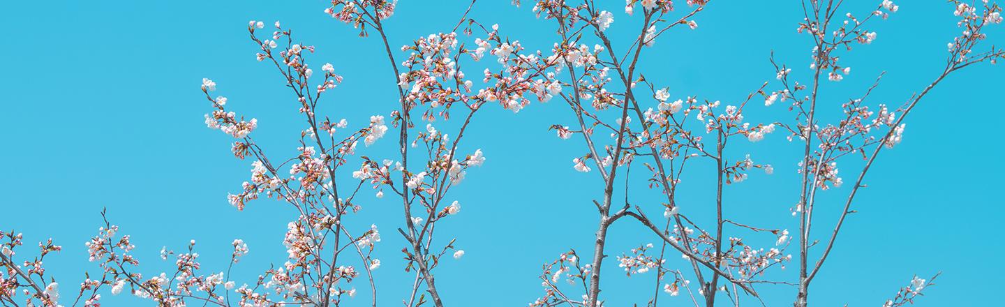 Soft Spring — slide 3