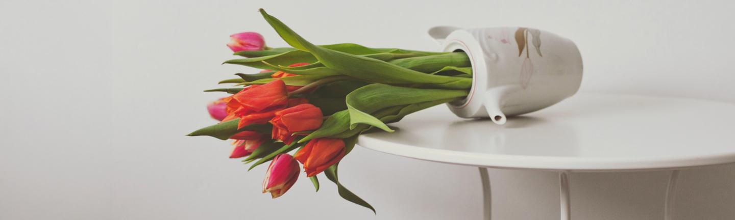 Spring Close-Ups — slide 2