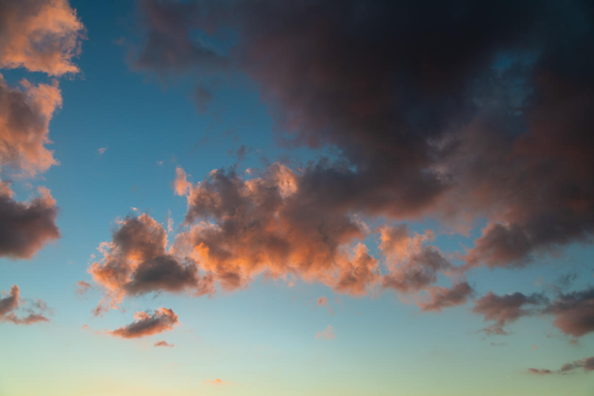 Tropical Storm | Luminar Marketplace(49)