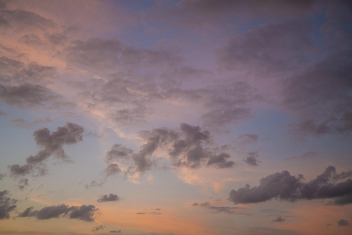 Tropical Storm | Luminar Marketplace(50)