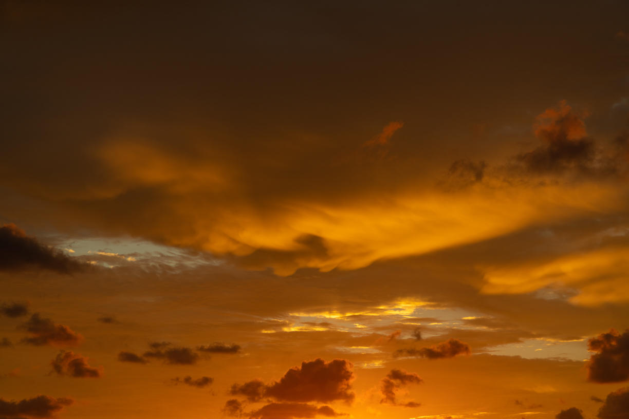 Tropical Storm | Luminar Marketplace(54)