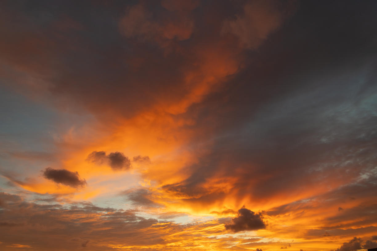 Tropical Storm | Luminar Marketplace(55)