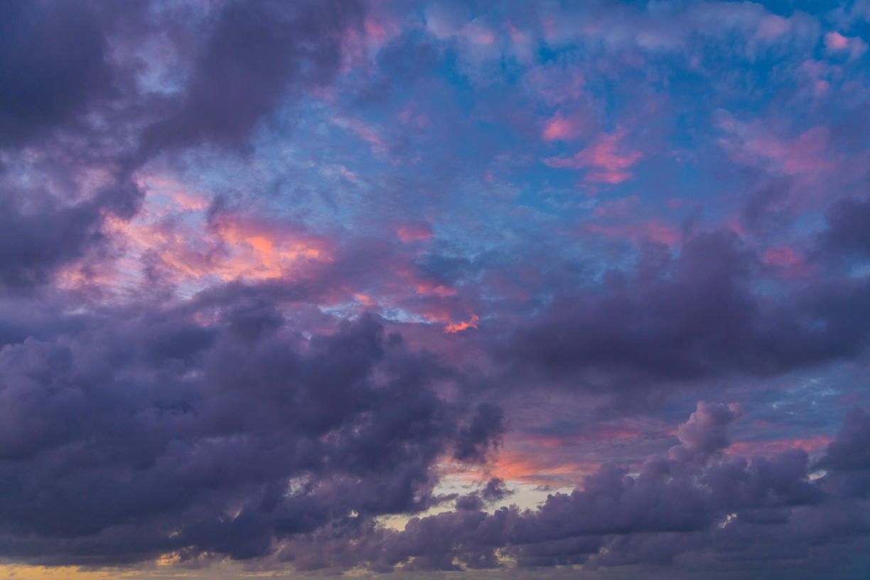 Tropical Storm | Luminar Marketplace(57)