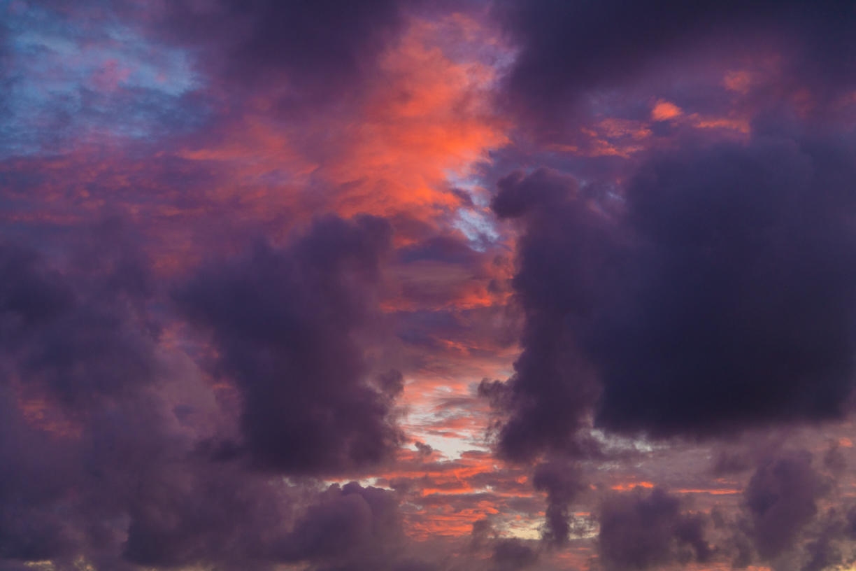 Tropical Storm | Luminar Marketplace(58)