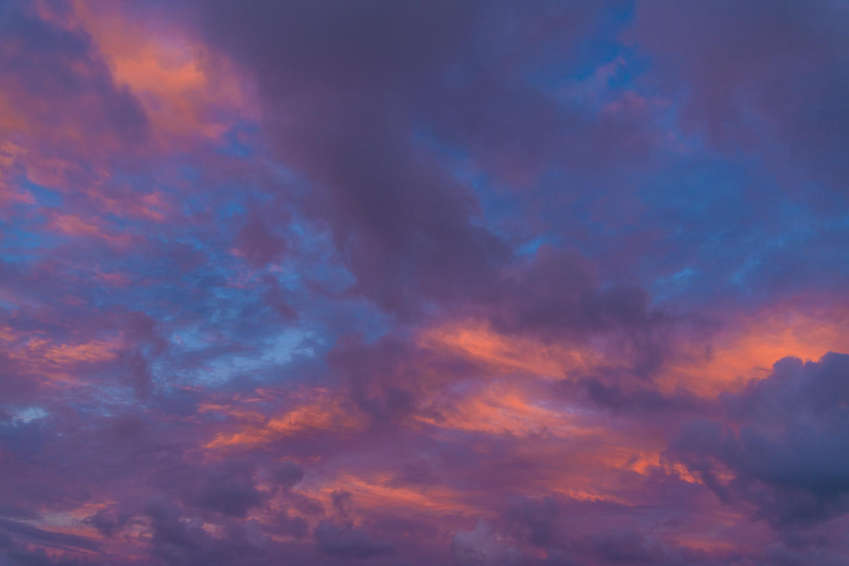 Tropical Storm | Luminar Marketplace(59)