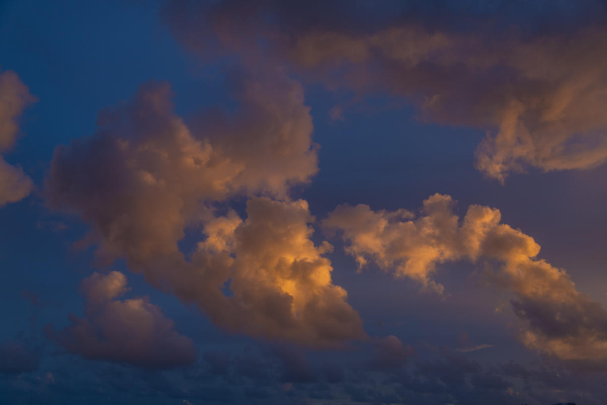 Tropical Storm | Luminar Marketplace(60)