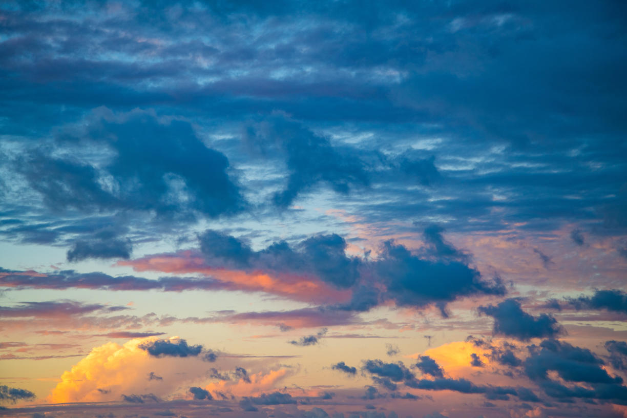 Tropical Storm | Luminar Marketplace(64)