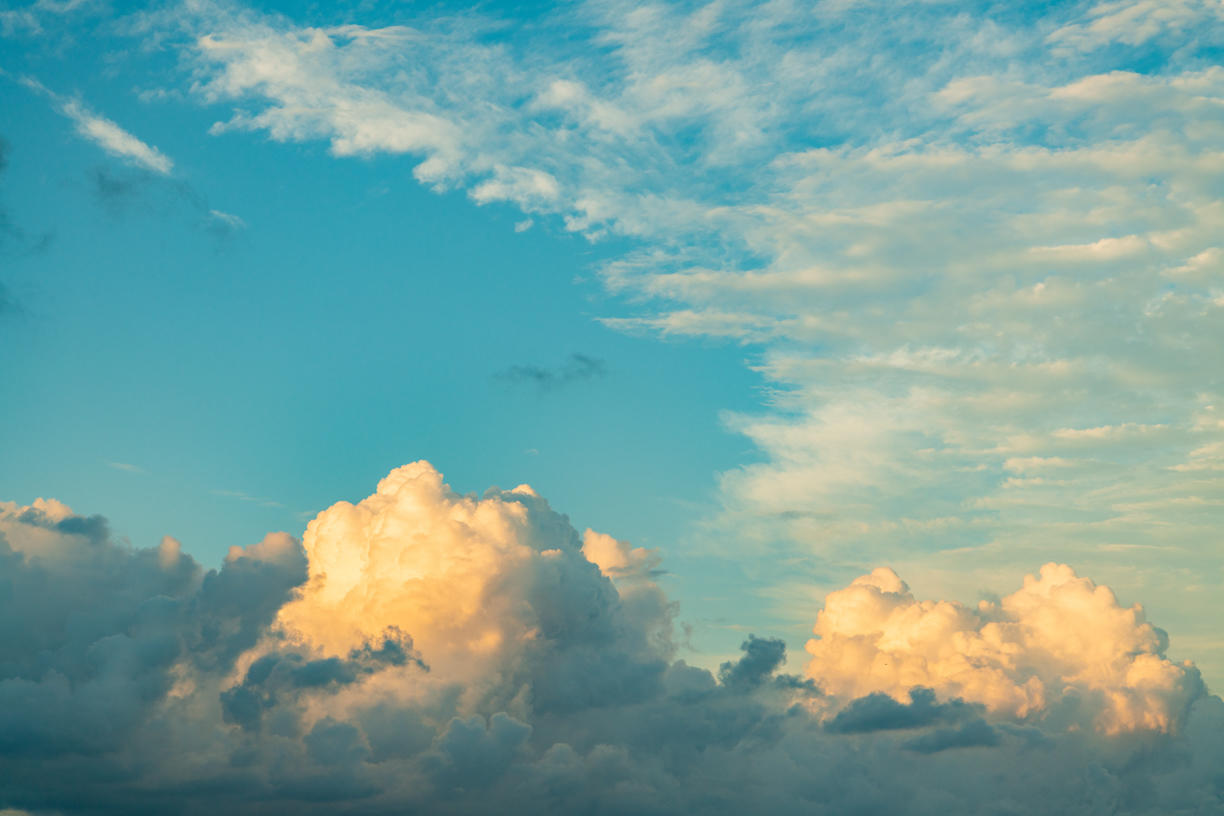 Tropical Storm | Luminar Marketplace(65)