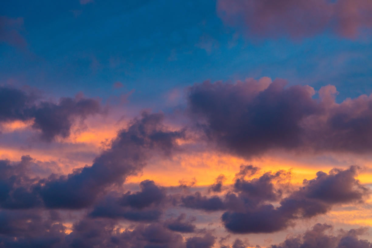 Tropical Storm | Luminar Marketplace(66)