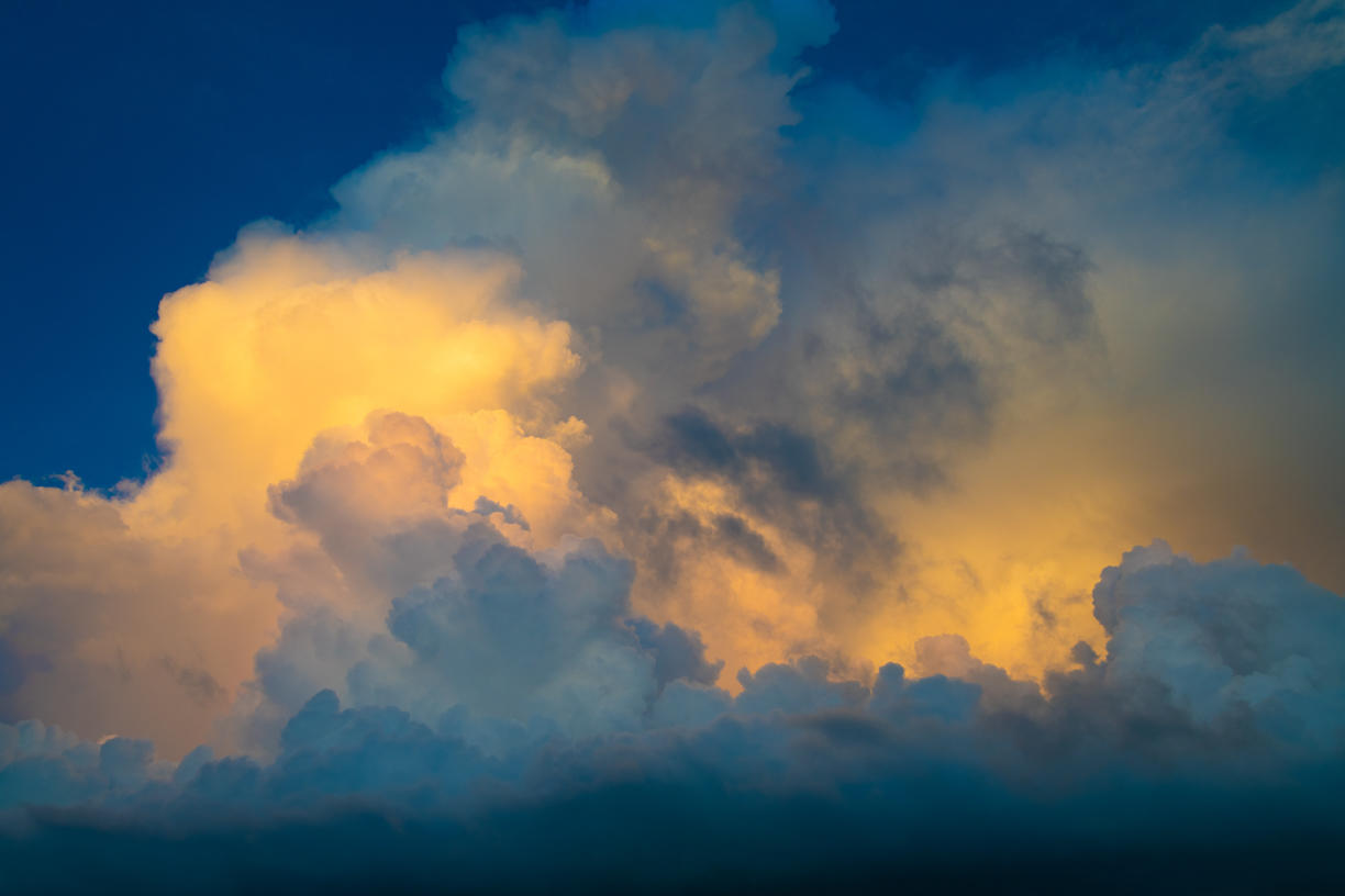 Tropical Storm | Luminar Marketplace(67)