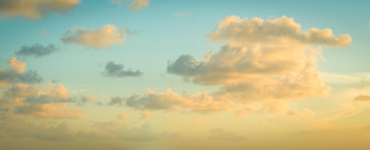 Tropical Storm | Luminar Marketplace(70)