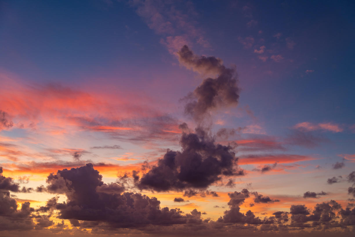 Tropical Storm | Luminar Marketplace(73)