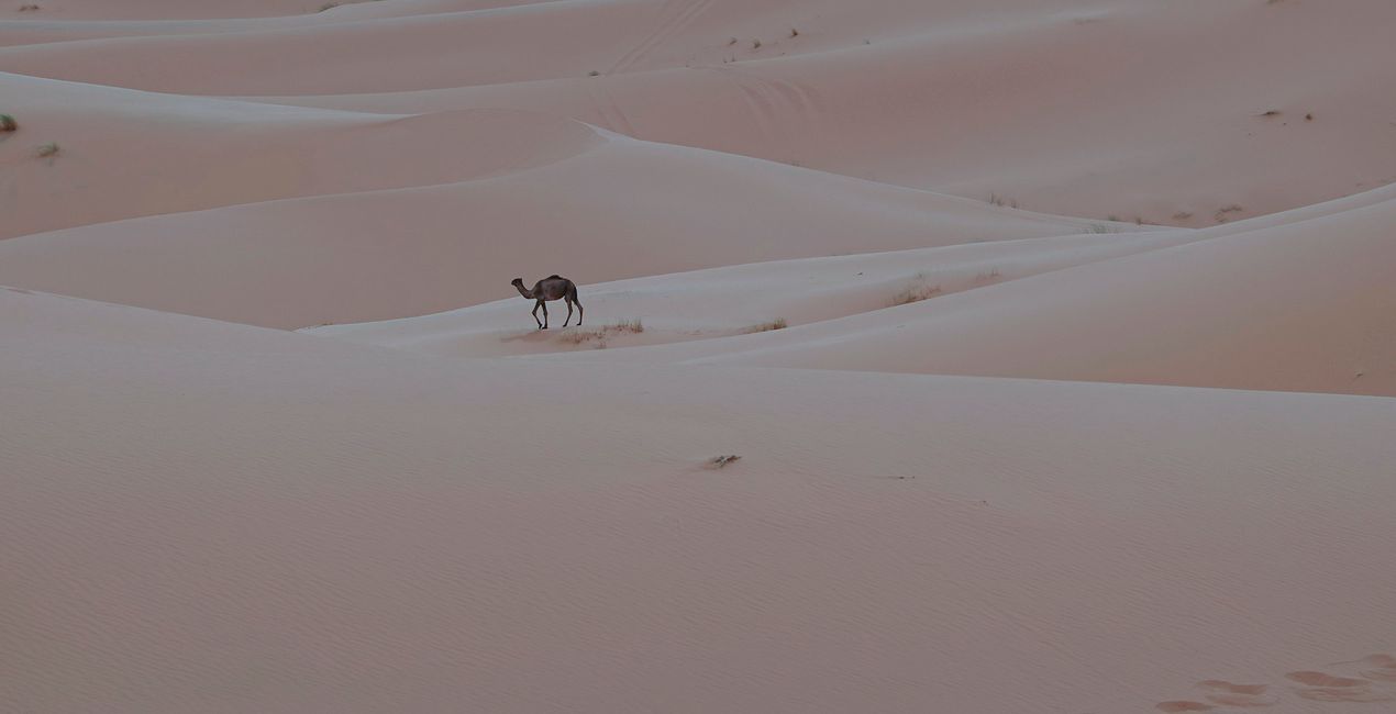 Desert Dream Presets for Luminar | Marketplace(39)