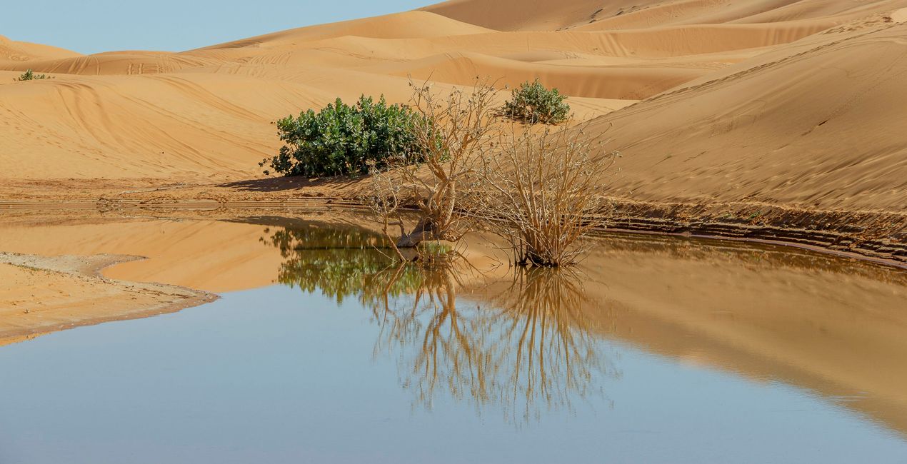 Desert Dream Presets for Luminar | Marketplace(45)