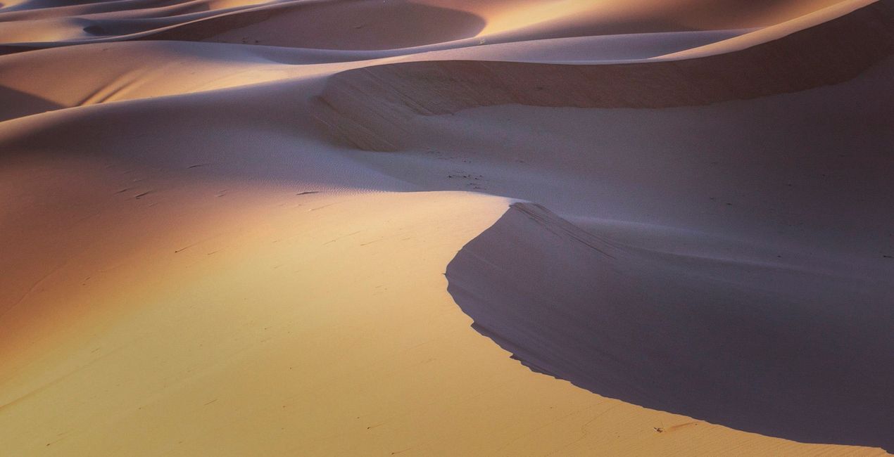 Desert Dream Presets for Luminar | Marketplace(50)