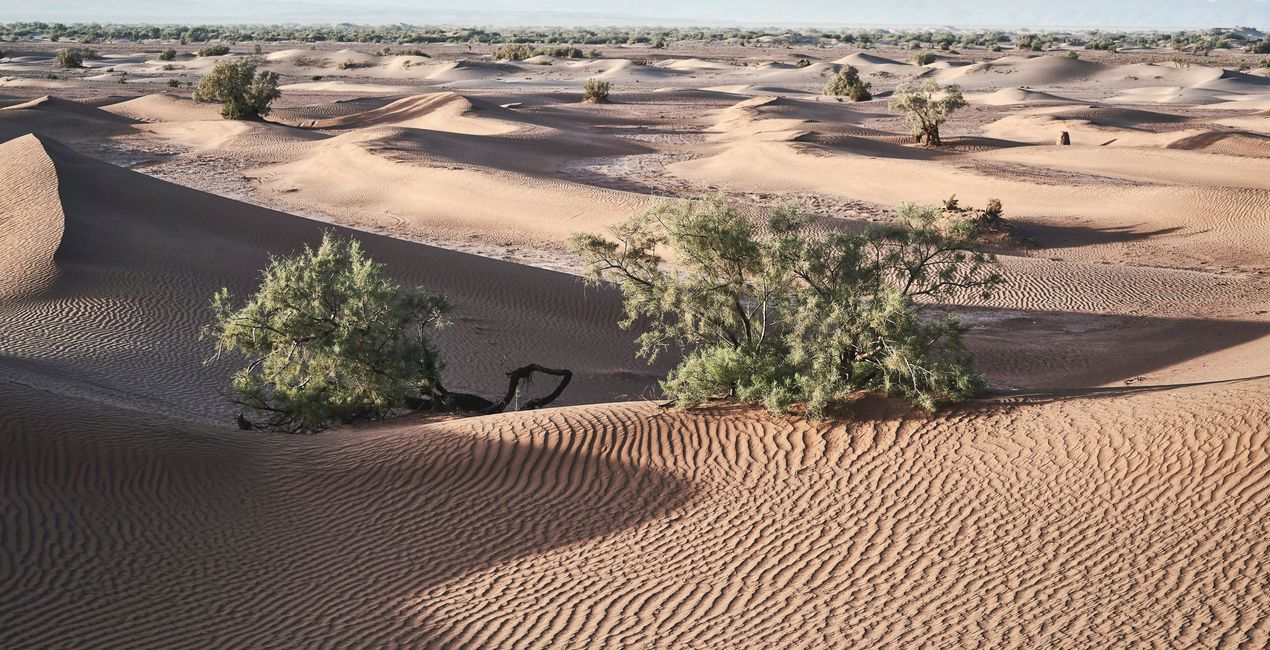 Desert Dream Presets for Luminar | Marketplace(44)