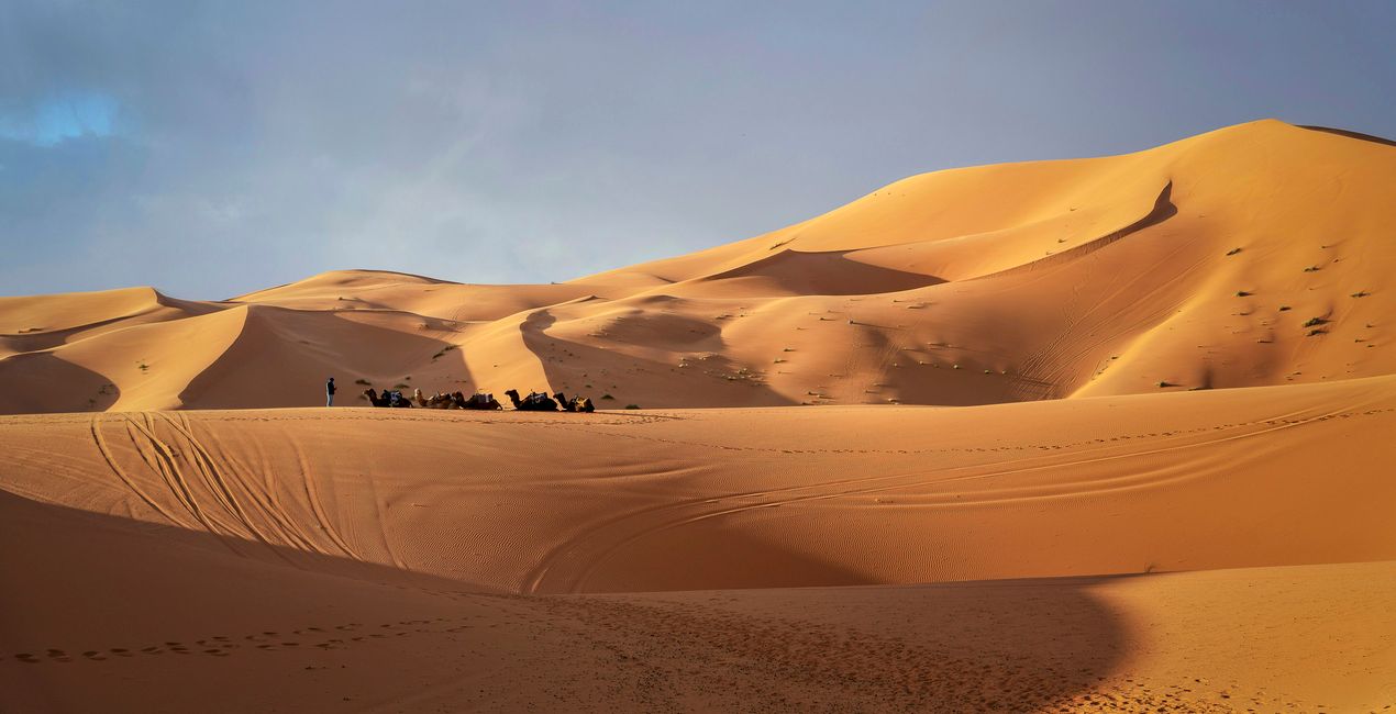 Desert Dream Presets for Luminar | Marketplace(42)