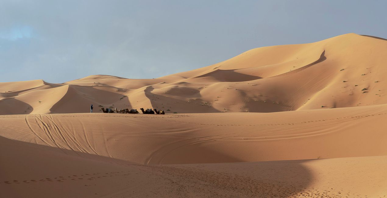 Desert Dream Presets for Luminar | Marketplace(41)