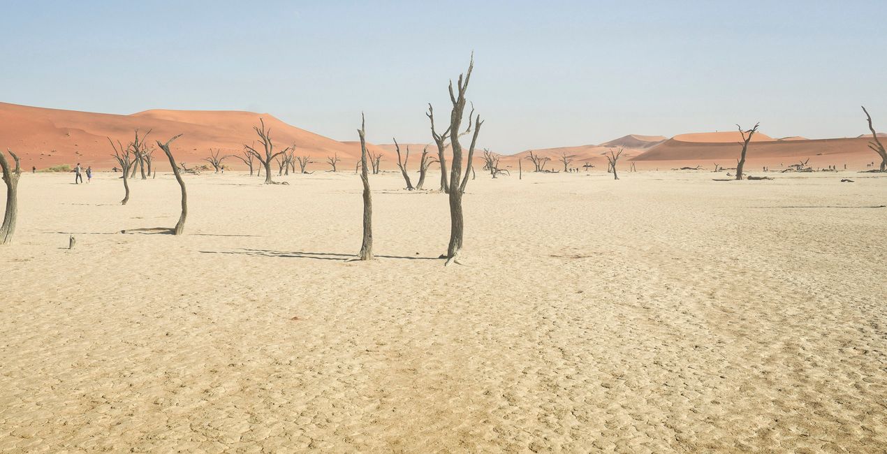 Desert Dream Presets for Luminar | Marketplace(48)
