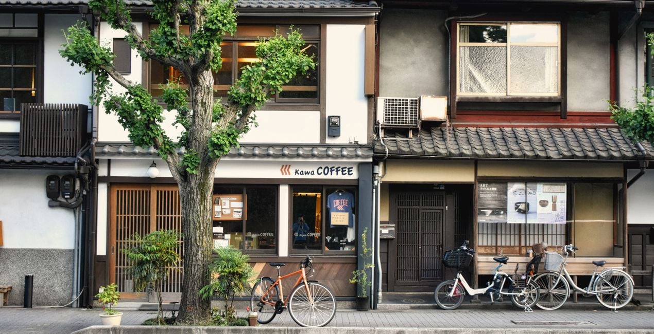 Japanese Palette Presets for Luminar | Marketplace(50)