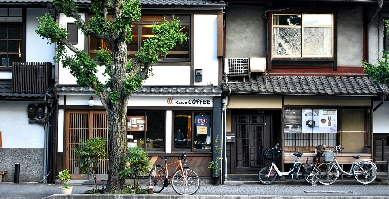 Japanese Palette Presets for Luminar | Marketplace(49)