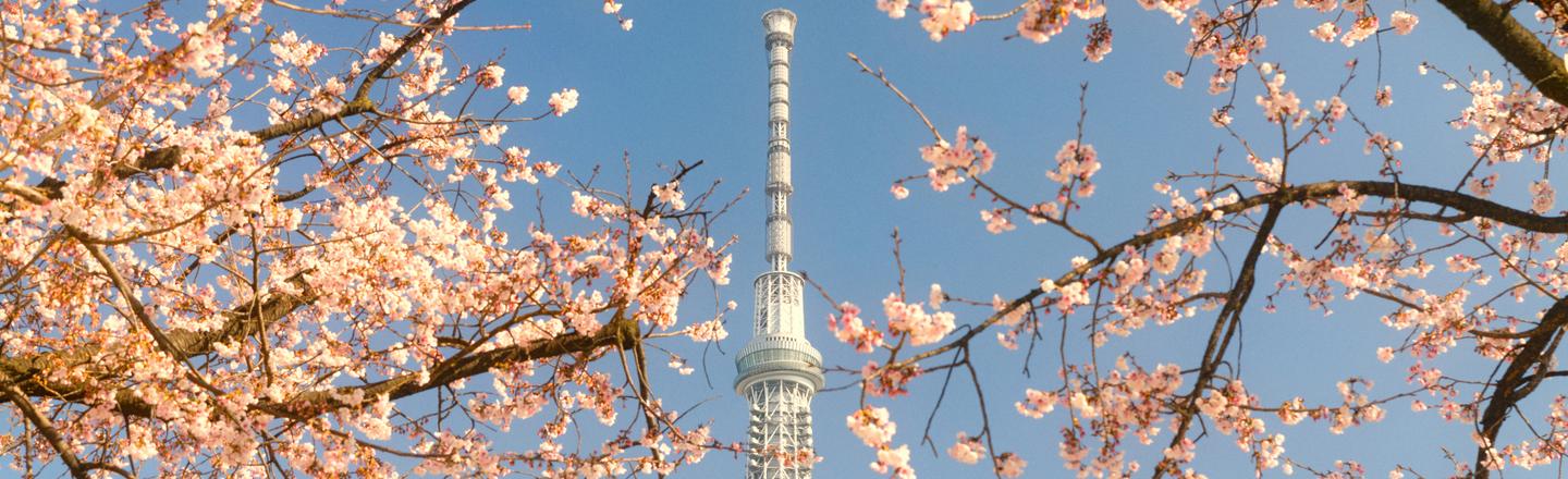 Japanese Palette — slide 2