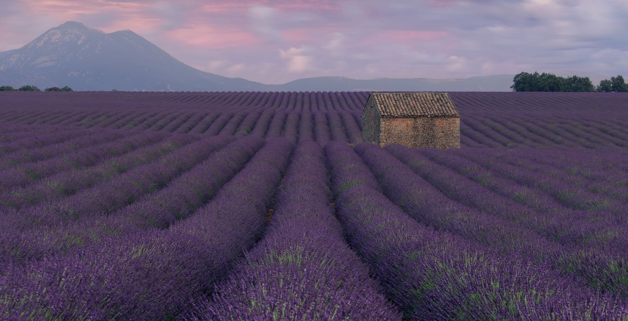 Serene Horizons (43)