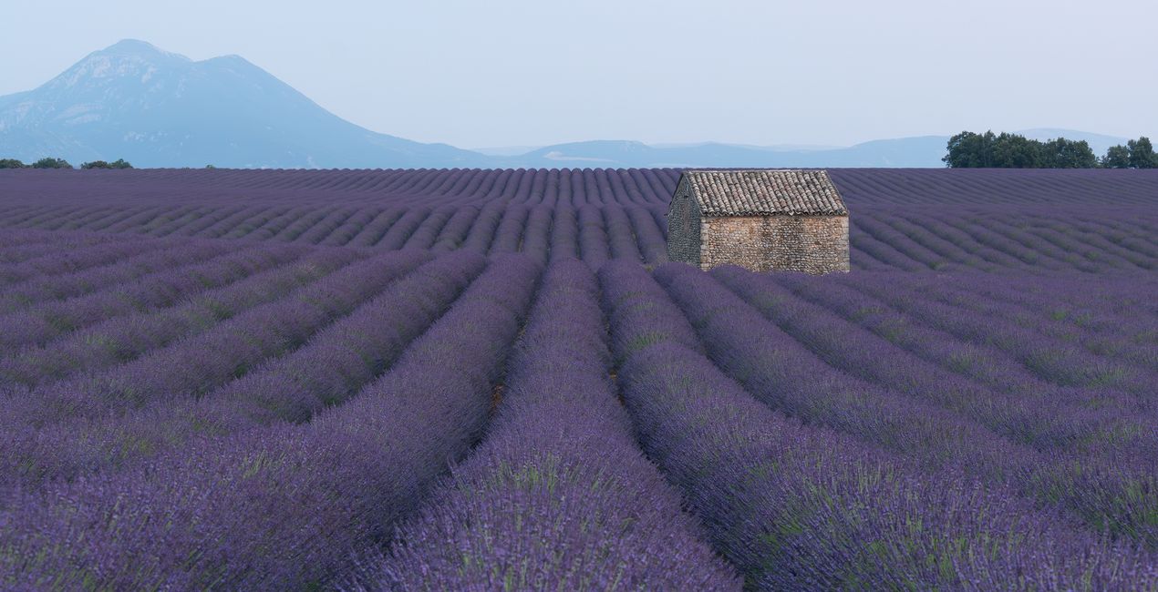 Serene Horizons (42)