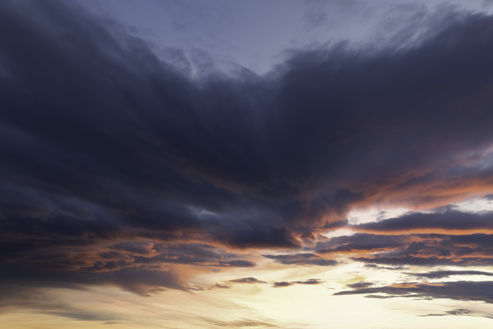 Serene Horizons (50)