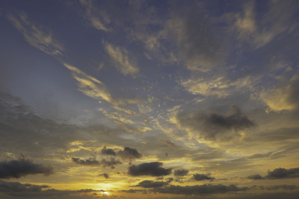 Serene Horizons (51)