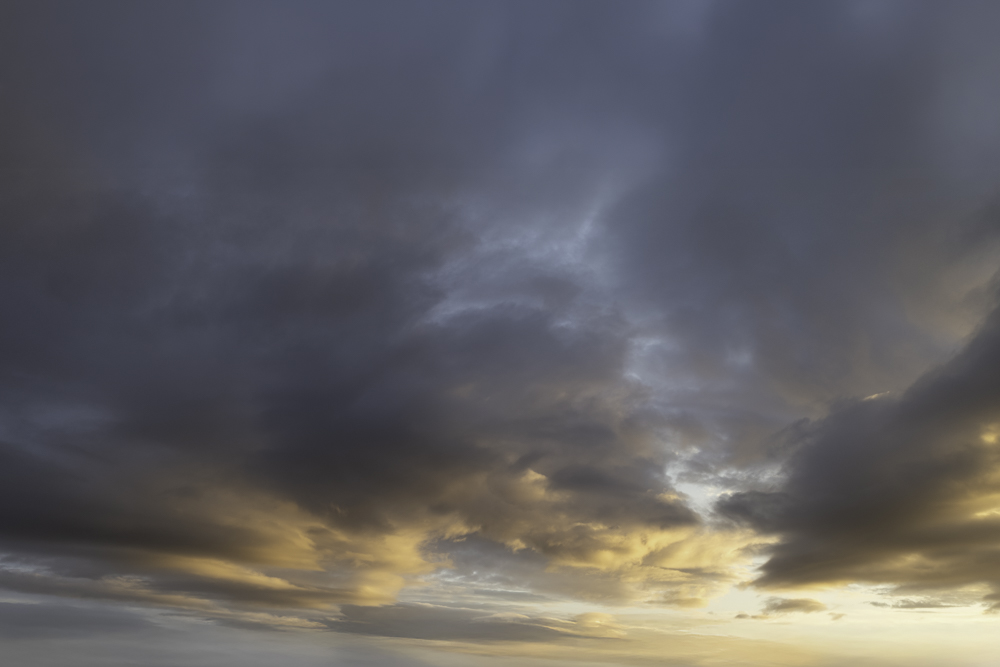 Serene Horizons (52)