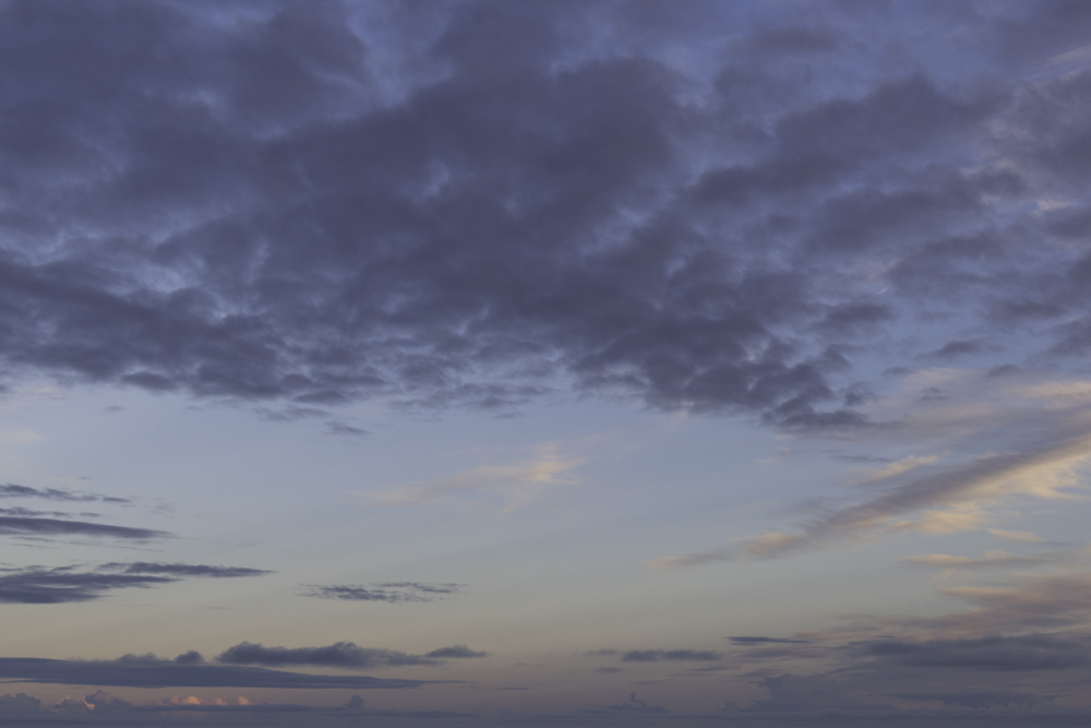 Serene Horizons (54)