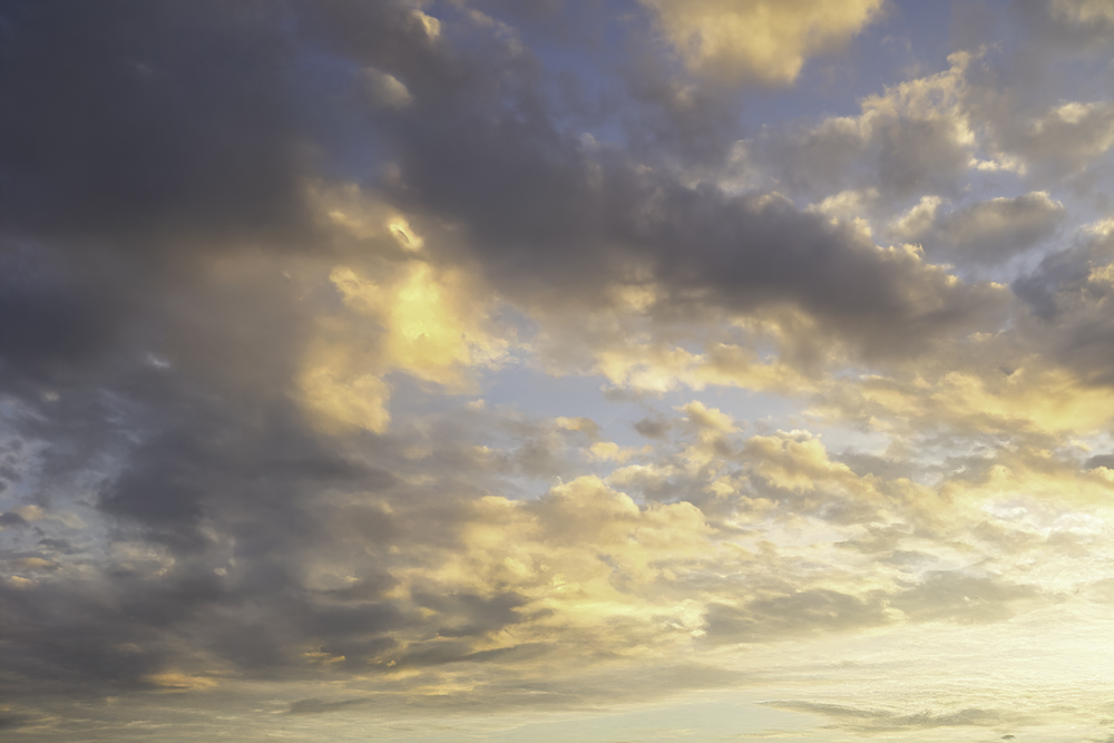 Serene Horizons (57)