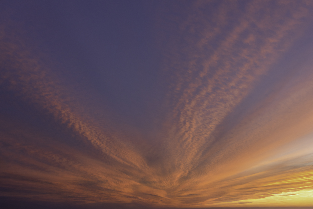 Serene Horizons (58)